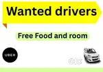 Wanted driver - free room and food