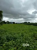 32 guntas agriculture land for sale belagali main road