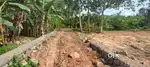 11.5 cent residential plot sale in Karakulam.