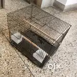 Pinjra for birds