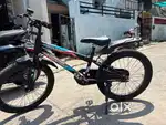 Whistle cycle
