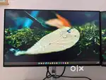 Dell Monitors
