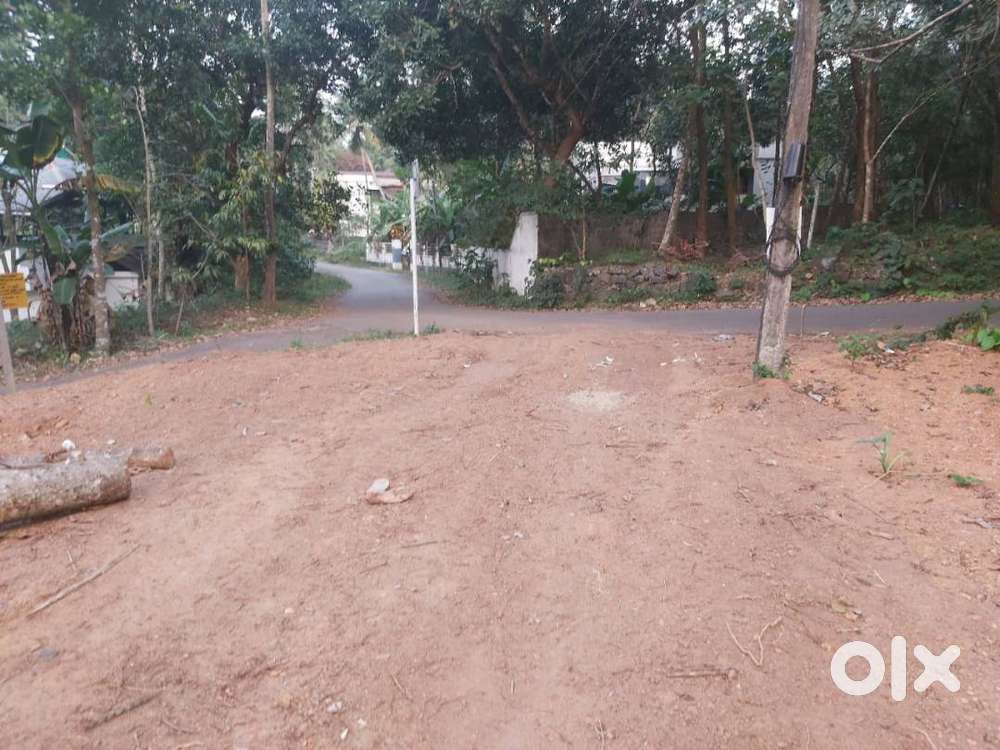 കല്ലമ്പലം - പോങ്ങനാട് റൂട്ടിൽ 16, 25 സെൻറ് നിരപ്പായ വസ്തു വിൽപ്പനയ്ക