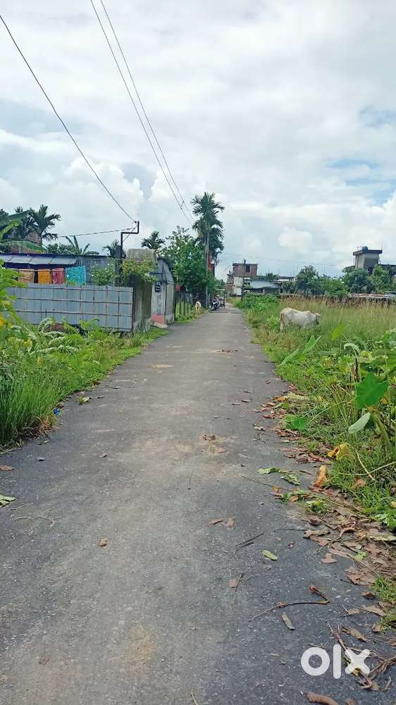 Residential plot.