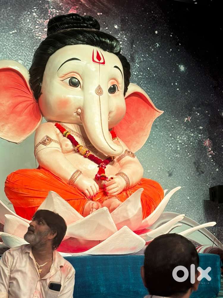 Fulltime Domestic help