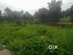 Plot for sale