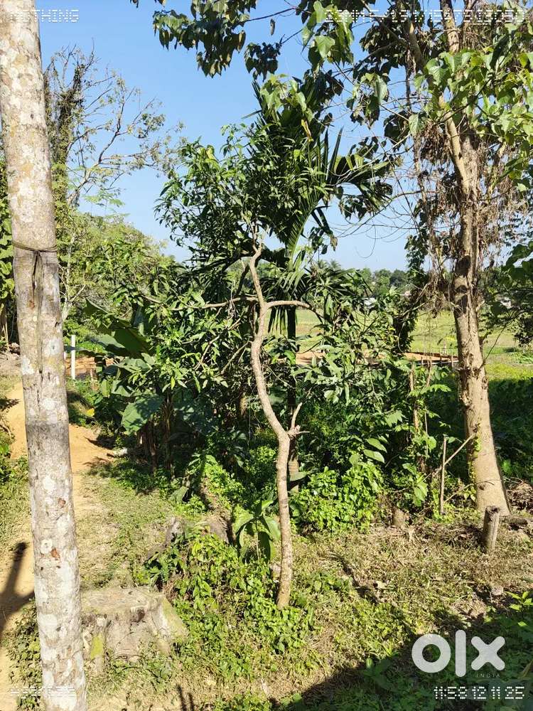 5.5 gonda jaiga sale kora hobe