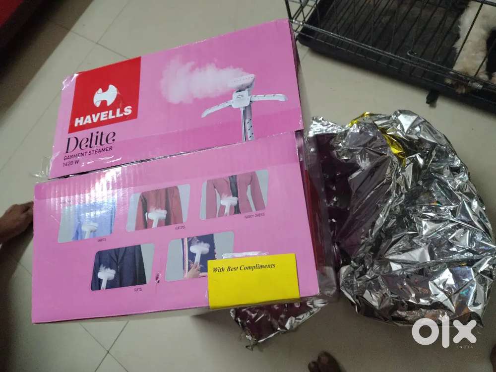 Havells Delite Garment Steamer 1420 watt