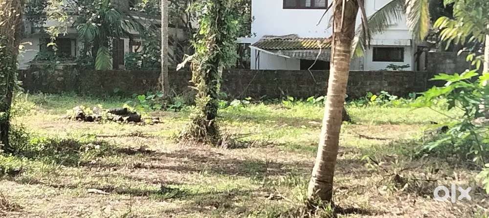 Prime plot for Sale @Tripunithura