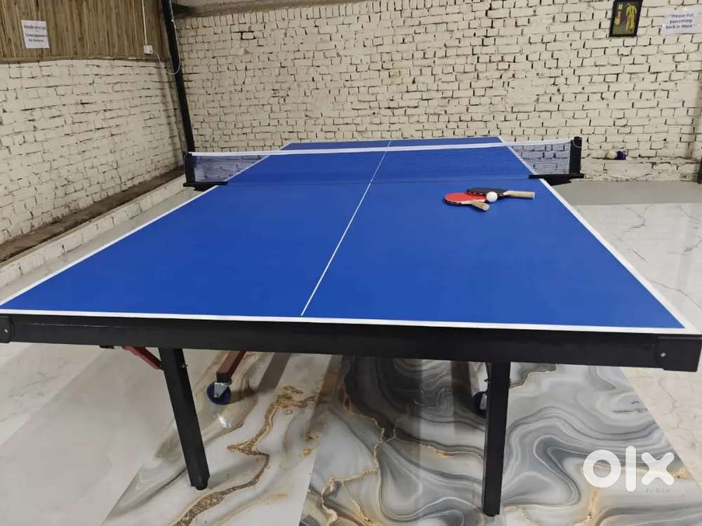 Table tennis 5*10