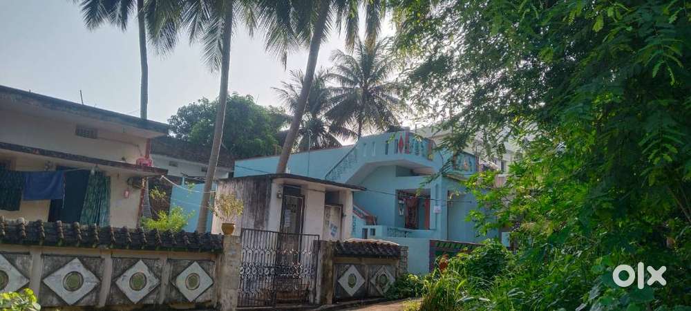 Individual house