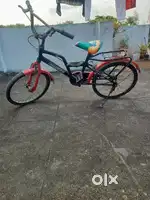 Kids cycle breaks veyinchukovali