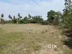 Agriculture land