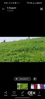 10 bigha jamin full pani depalpur se matr 8 se 10 km