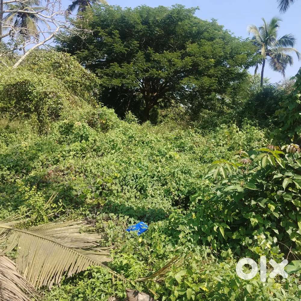 For Sale 1520m2 Plot in Rachel, Raia, South Goa