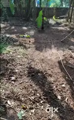 10 CENT LAND FOR SALE  KUTHIRAVATTOM KOZHIKODE