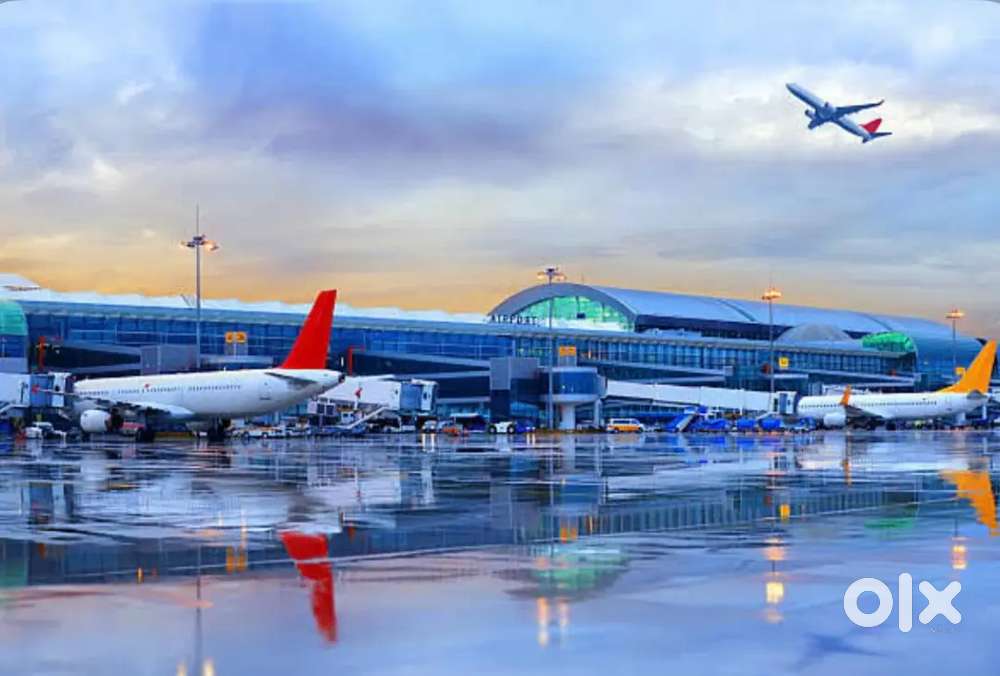 Bulk Openings in aviation industry on your nearest airports