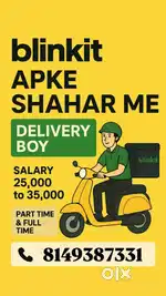 Blinkit delivery boy