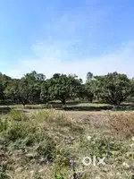 Farm land for sale in MDR road