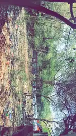Plot for sale in Gurugram 503 sq yard