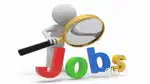 Sales Executive