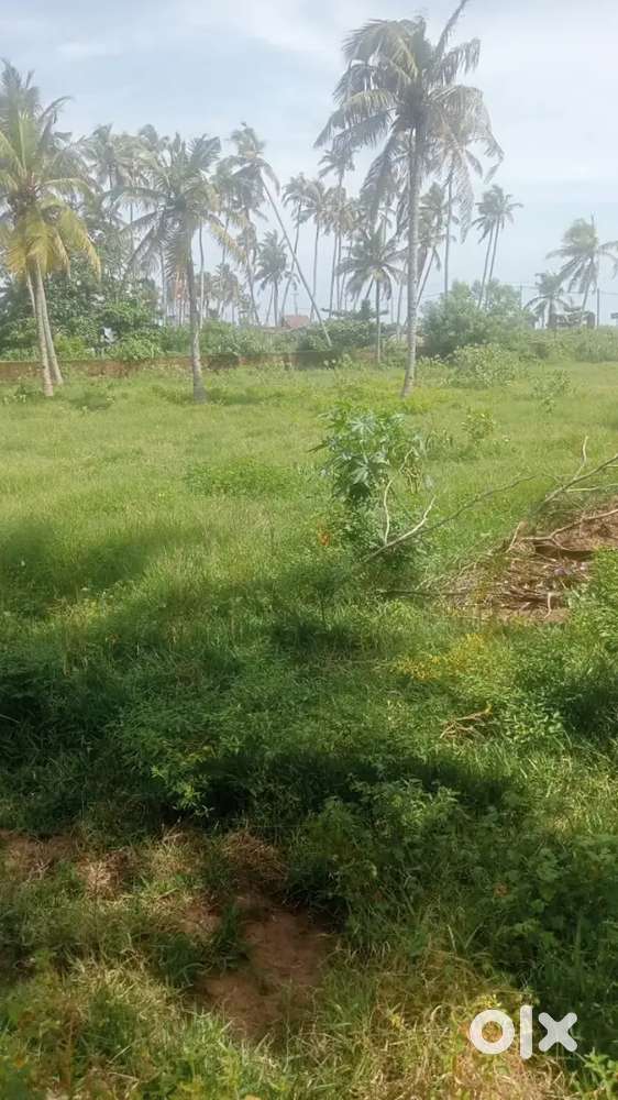 POOTHAKULAM 150 CENT VILPANAYIK