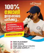 Search for job