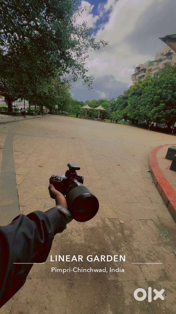 Nikon z6 Body Nikon 85 1.8