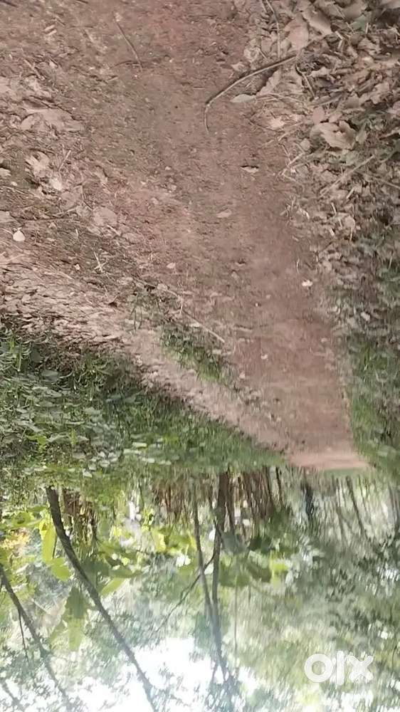 5,cent10,cent vattiyourkavu dry land plot
