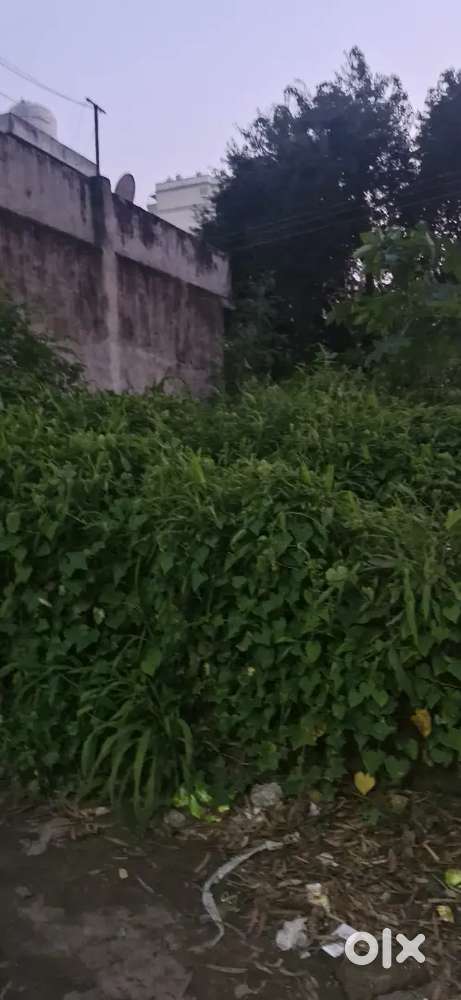 250 gaj plot for sale map approved,  on prime location,  DHAKOLI Zrk