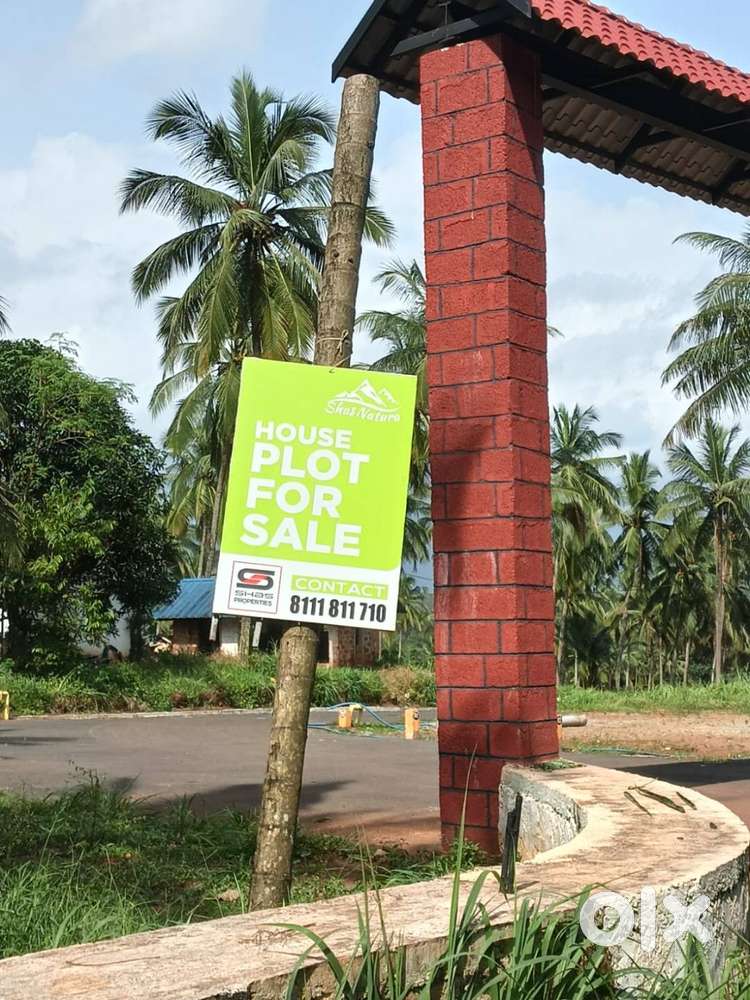 9 Cent House plot for sale in Viyyakurissi,Palakkad