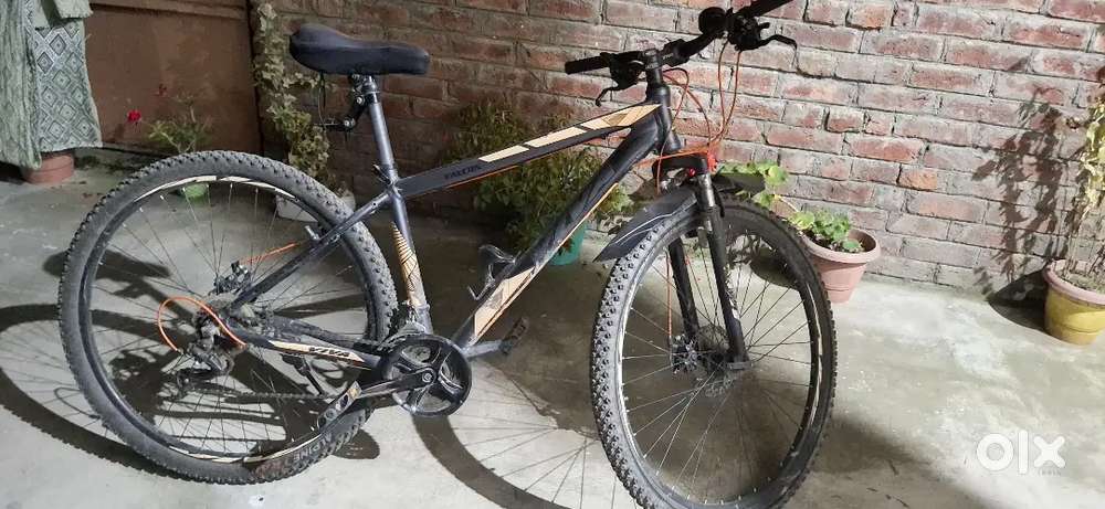 Viva falcon mountain cycle