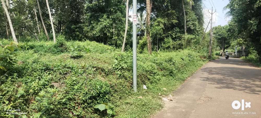 2 acre land for sale palazhy kozhikode