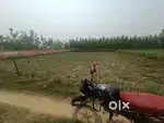 Urgent sale auladpur chauki ke pass Highway se 100 meter under