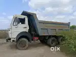 Tata hayva 2518