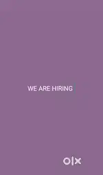 SALES EXECUTIVE ON ROLE
