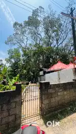 5 cent plot for sale