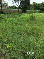Murud gao me h tejaji nagar se 5 km aage bahot achi location par h l