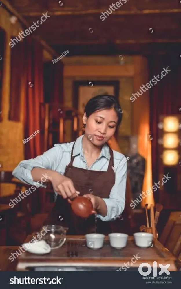 Tea master ( Female only )