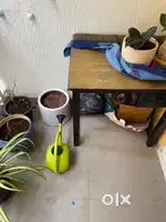 Multi Purpose • Study Table