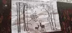 Forest Stencils