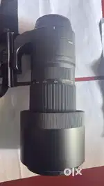 Sigma 150-600mm lens and canon R10 camera
