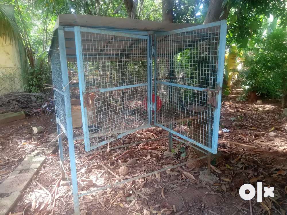 Steel cage for Birds