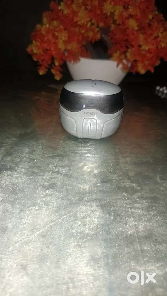 Noise earbuds