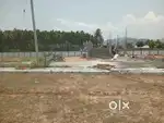 Low price plot available in salem-belur main road mear