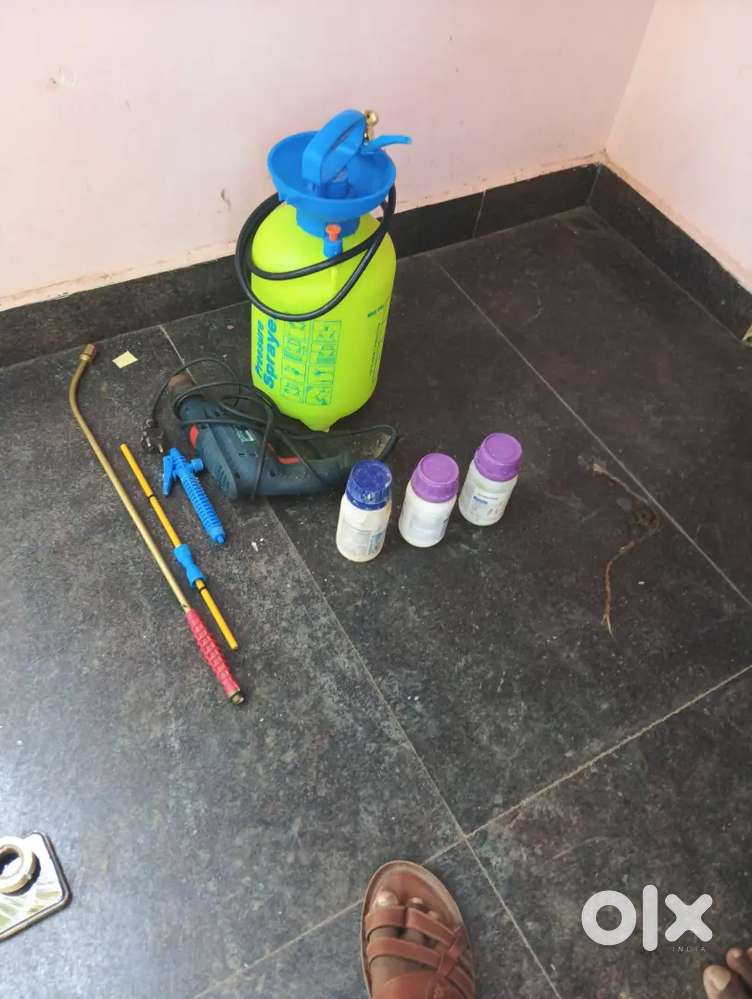 கரையான் மருந்து