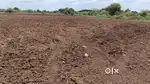 Agriculture land for sale 4.5acres chowtkuru 20lakhs per acre midthur