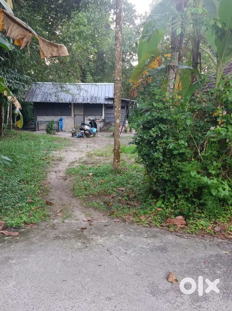 My 3 cent plot For sale