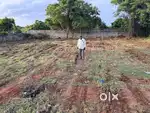 Commercial Land for sale