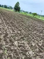 Agriculture land for sale near thallada